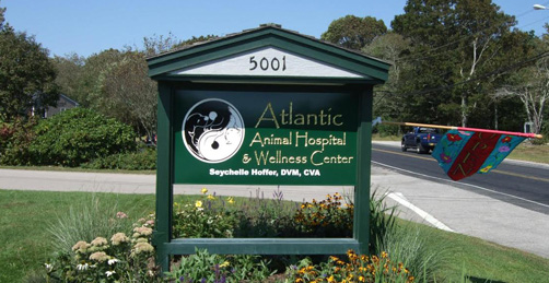 atlantic animal hosp