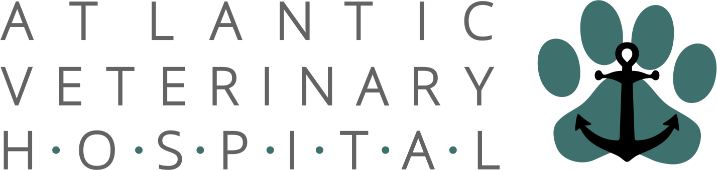 Atlantic Veterinary Hospital